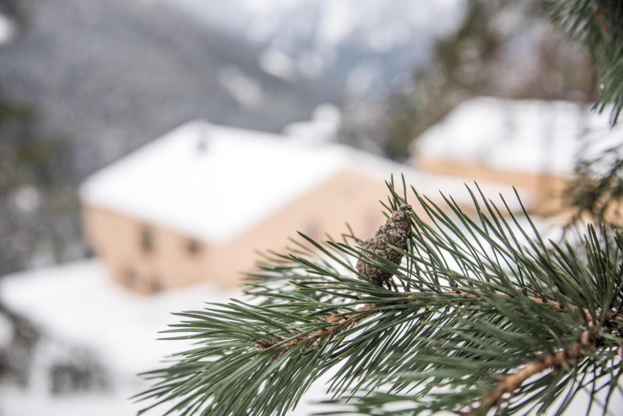 Archehof Hochzirm Lodge Anna Campo Tures Buitenkant foto